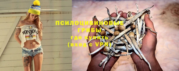 марки nbome Бородино