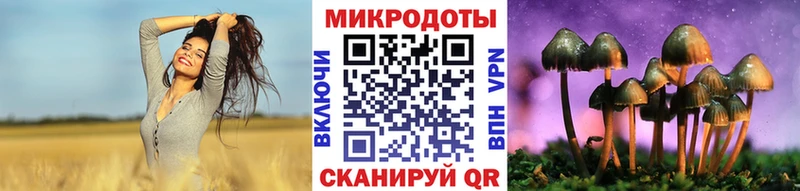Галлюциногенные грибы Psilocybe  Барнаул 